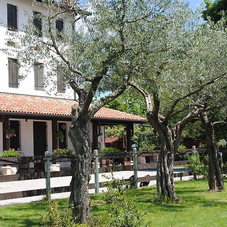La Pioppa Agriturismo サチーレ エクステリア 写真