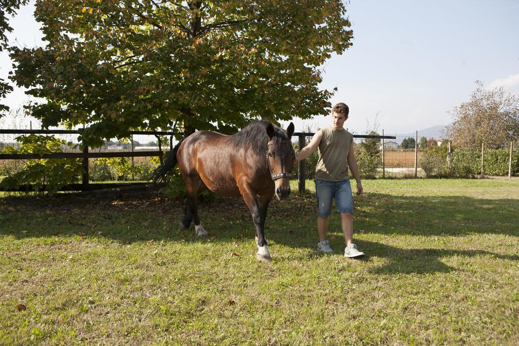 La Pioppa Agriturismo サチーレ エクステリア 写真