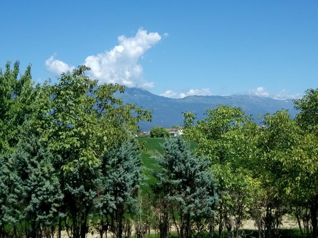 La Pioppa Agriturismo サチーレ エクステリア 写真